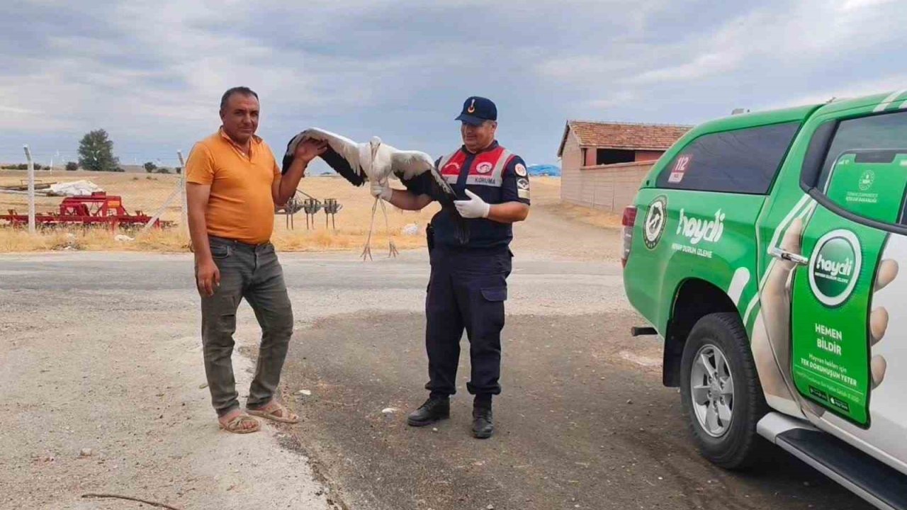 Sorgun’da bulunan yaralı leylek tedavi altına alındı