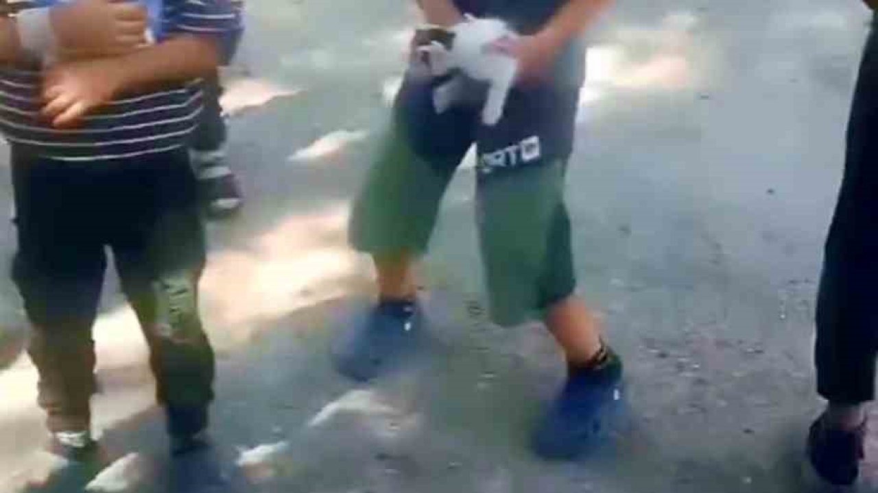 Kuyuda mahsur kalan kedinin yardımına çocuklar yetişti