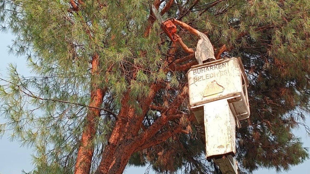 Buharkent Belediyesi’nden anında müdahale