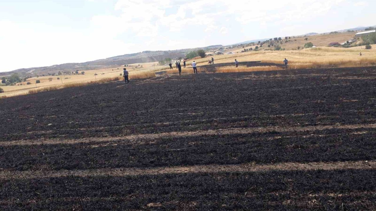 Buğday ekili tarlada çıkan yangında 15 dönüm alan zarar gördü
