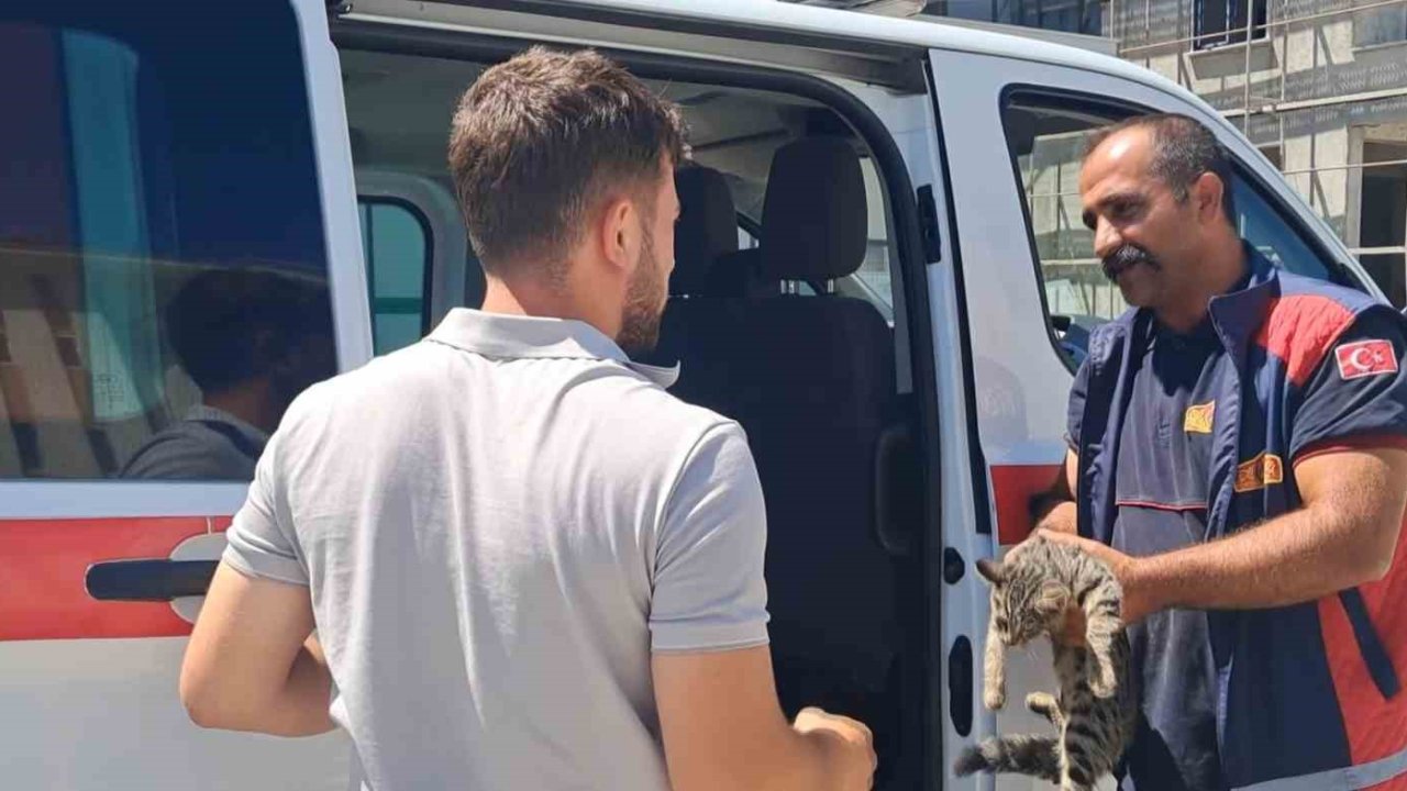 Erzincan’da aracın motor bölmesine sıkışan kediyi itfaiye ekipleri kurtardı