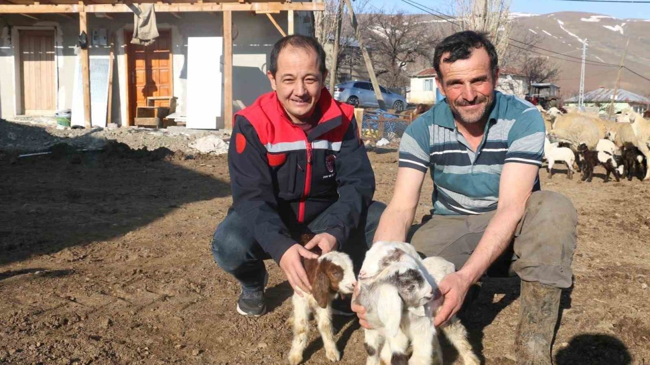 Erzincan’da koyunculuk kredisi 1 milyon 200 bin  liraya yükseltildi