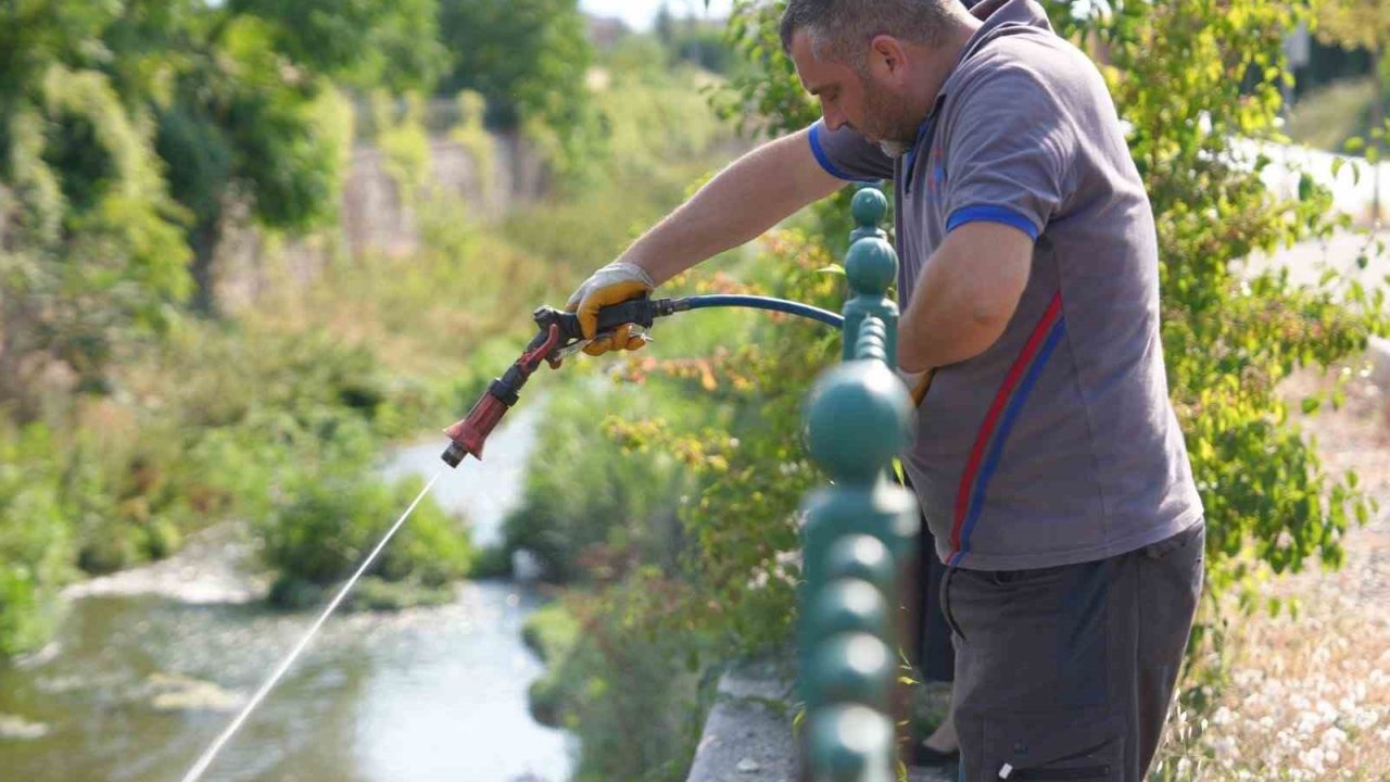 Düzce Belediyesi otluk ve sulak alanlarda ilaçlama çalışmaları yapıyor