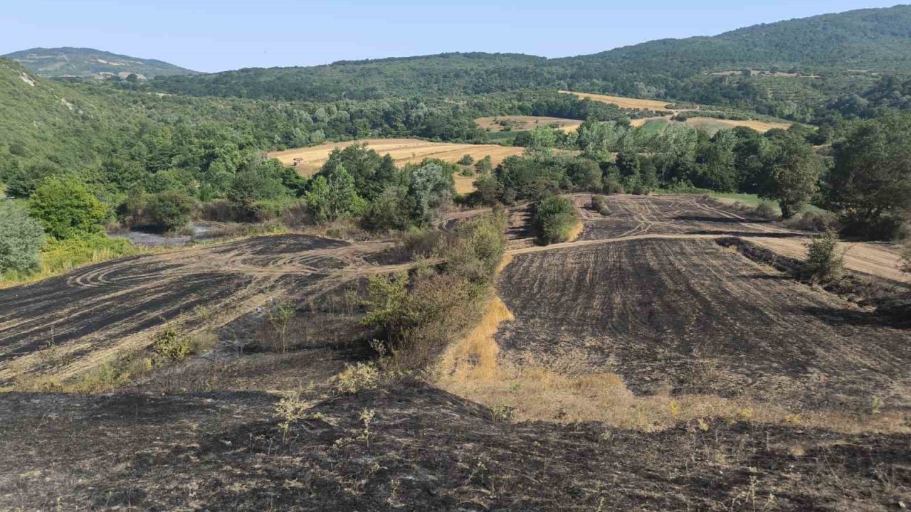 Yangında ekinleri zarar gören çiftçilere gübre ve tohum desteği