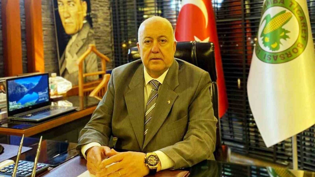 Samsun’da fındık rekoltesi tahmini belli oldu: 91 bin 456 ton