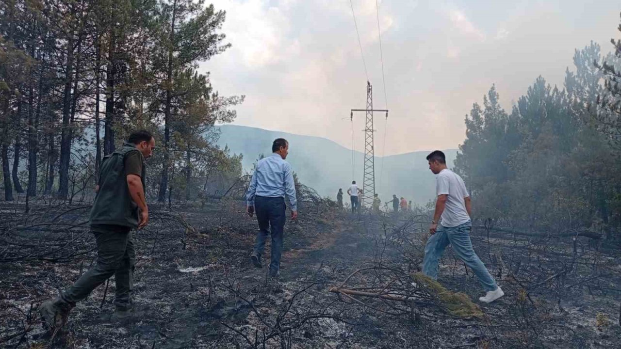 Ormanlık alandaki örtü yangını kontrol altına alındı