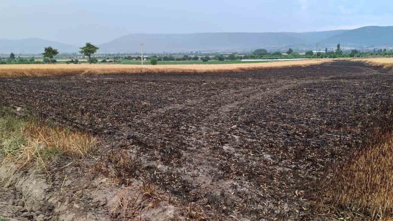 Ekili araziye düşen yıldırım 8 ton buğdayı kül etti