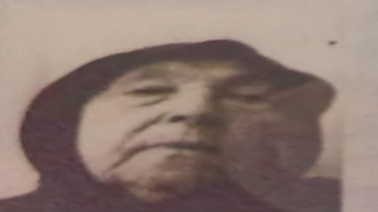 Yaşlı kadın ormanlık alanda kayboldu