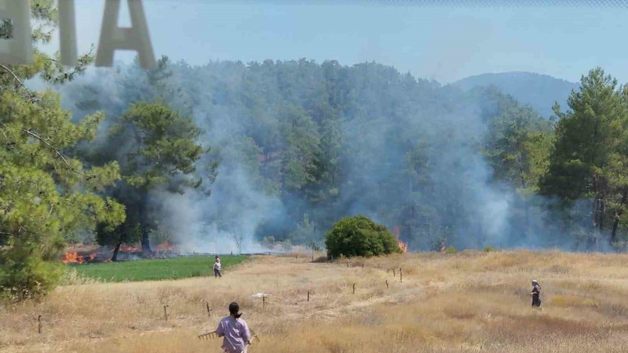 Köyceğiz’de ot yangını