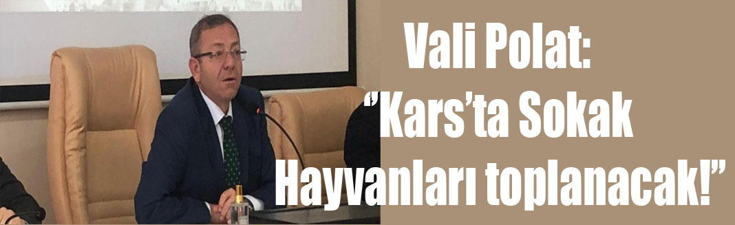 Vali Polat: ''Sokak Hayvanları İtinalı bir şekilde toplanacak!''