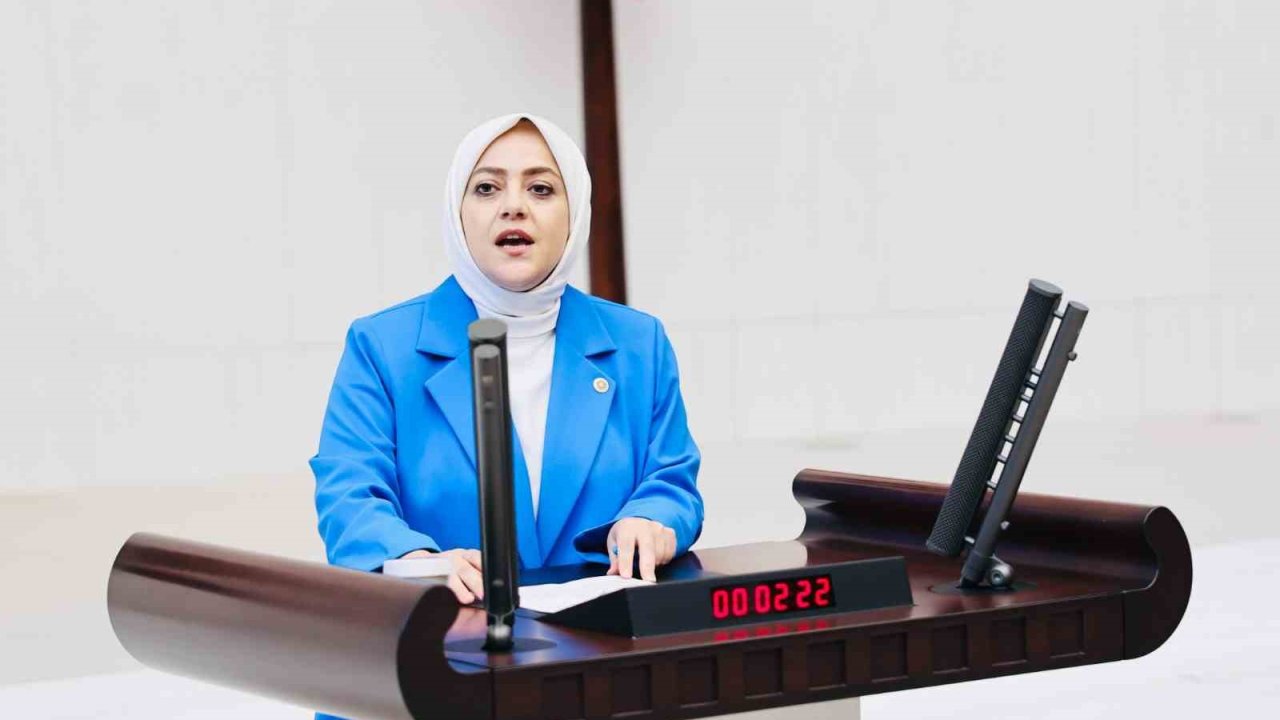 Milletvekili Ün; "Vahşi madencilik kar dışında hiçbir değeri tanımıyor"