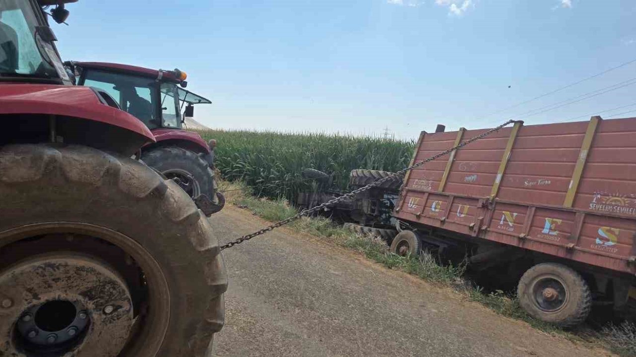 Mardin’de traktör mısır tarlasına devrildi