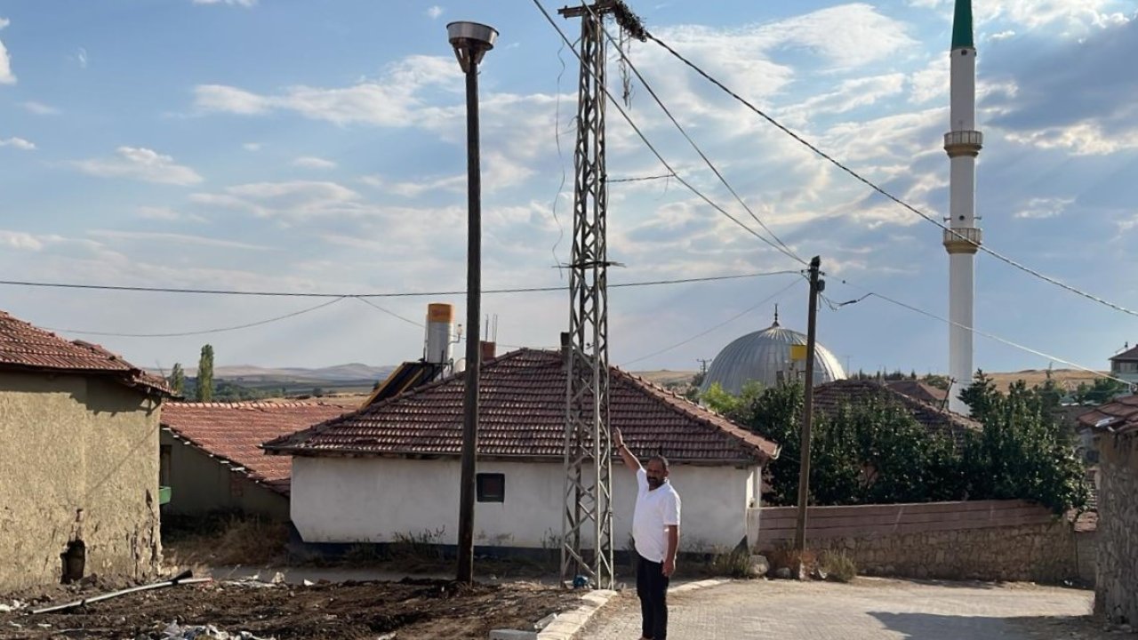 Şiddetli rüzgardan yıkılmıştı, yeniden kurulan yuva misafirlerini bekliyor