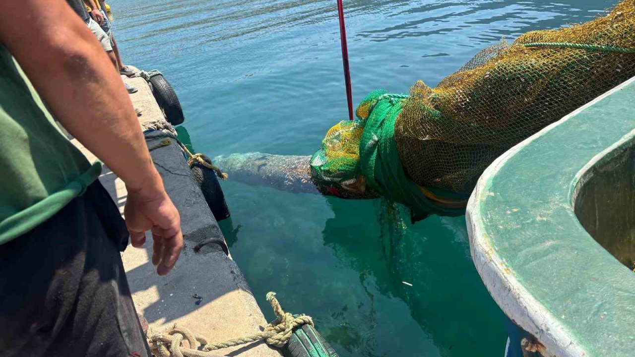İzmir Karaburun’da balıkçı ağına denizaltı torpidosu takıldı