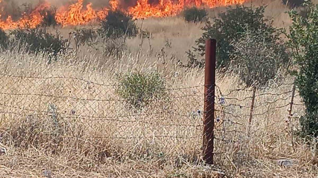 Batman’daki orman yangını kontrol altına alındı