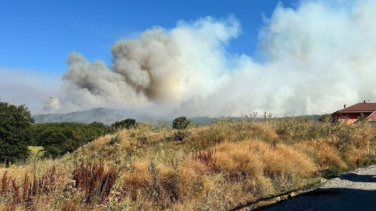 Bilecik’teki orman yangınına müdahale devam ediyor