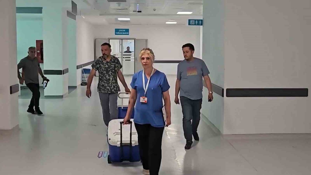 Doç. Dr. Kaçmaz: "Organ bağışında canlı nakilde dünya lideri, kadavrada gerideyiz "