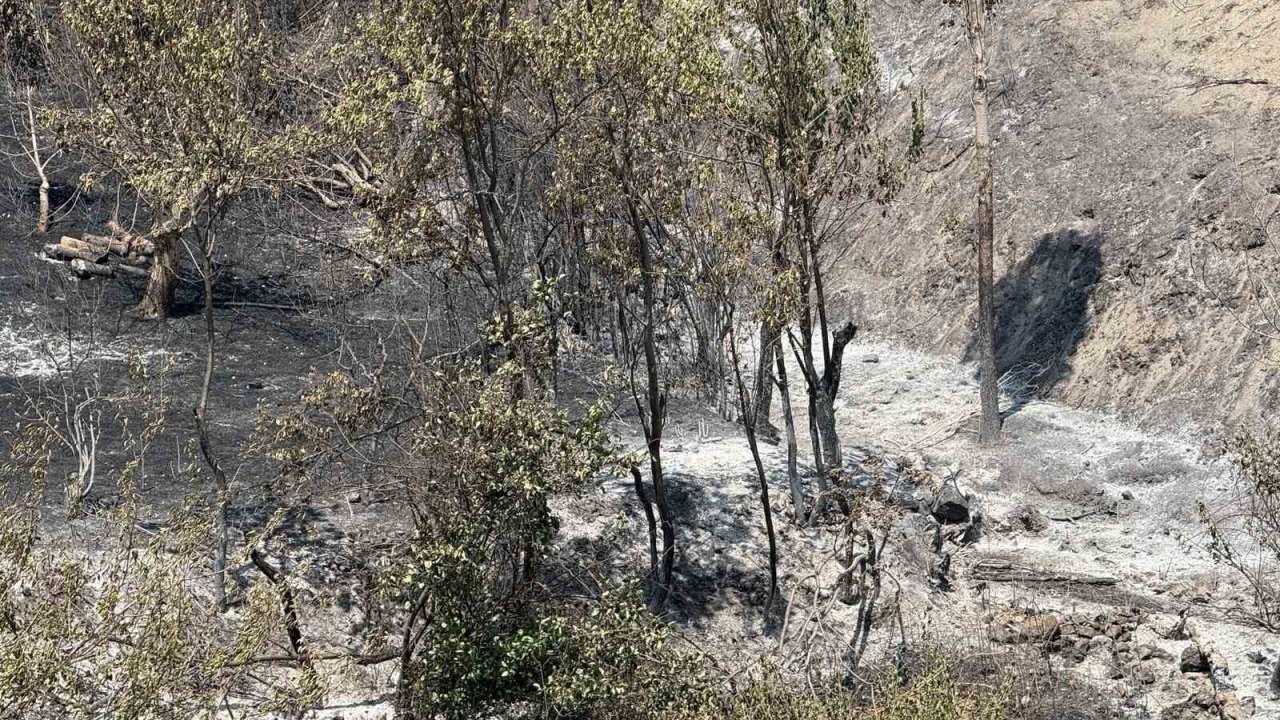 Bakan Yardımcısı Polat, Geyve yangınındaki son durumu açıkladı