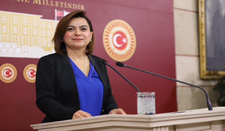 Milletvekili Koçyiğit, Şap Salgınını Meclis Gündemine Taşıdı