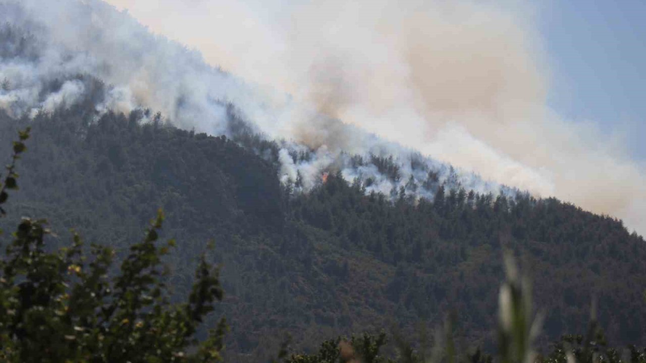 Sakarya’da yangın 24 saattir sürüyor, alevler zaman zaman yeniden yükseliyor