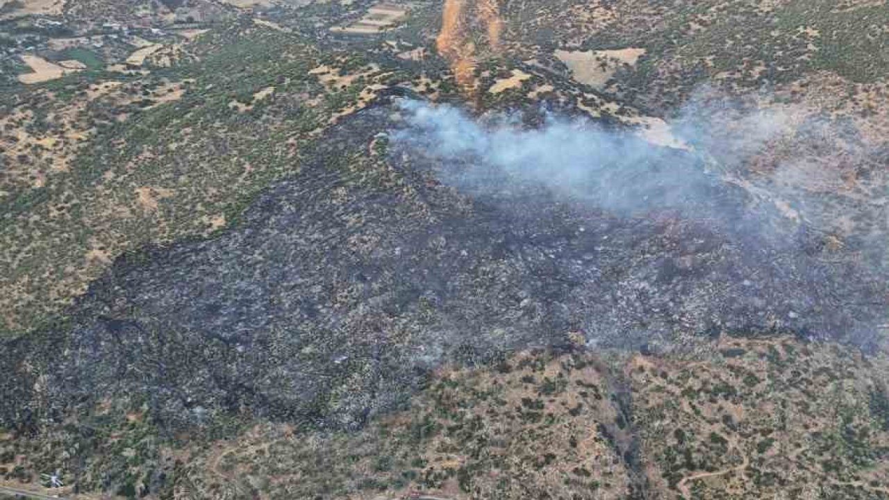 Nazilli’de makilik ve zirai alan yangını kontrol altına alındı