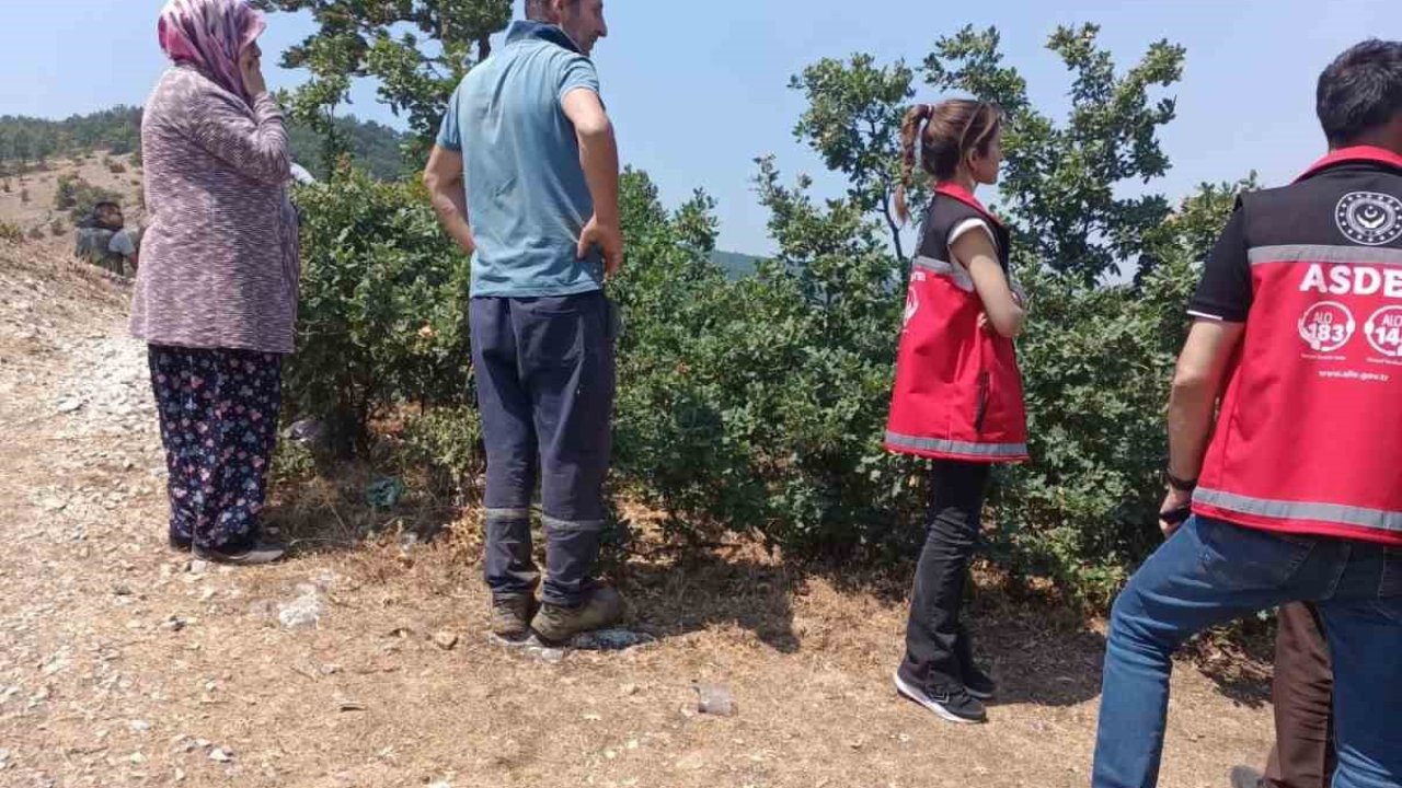 Orman yangını sonrası psikososyal destek hızla verildi