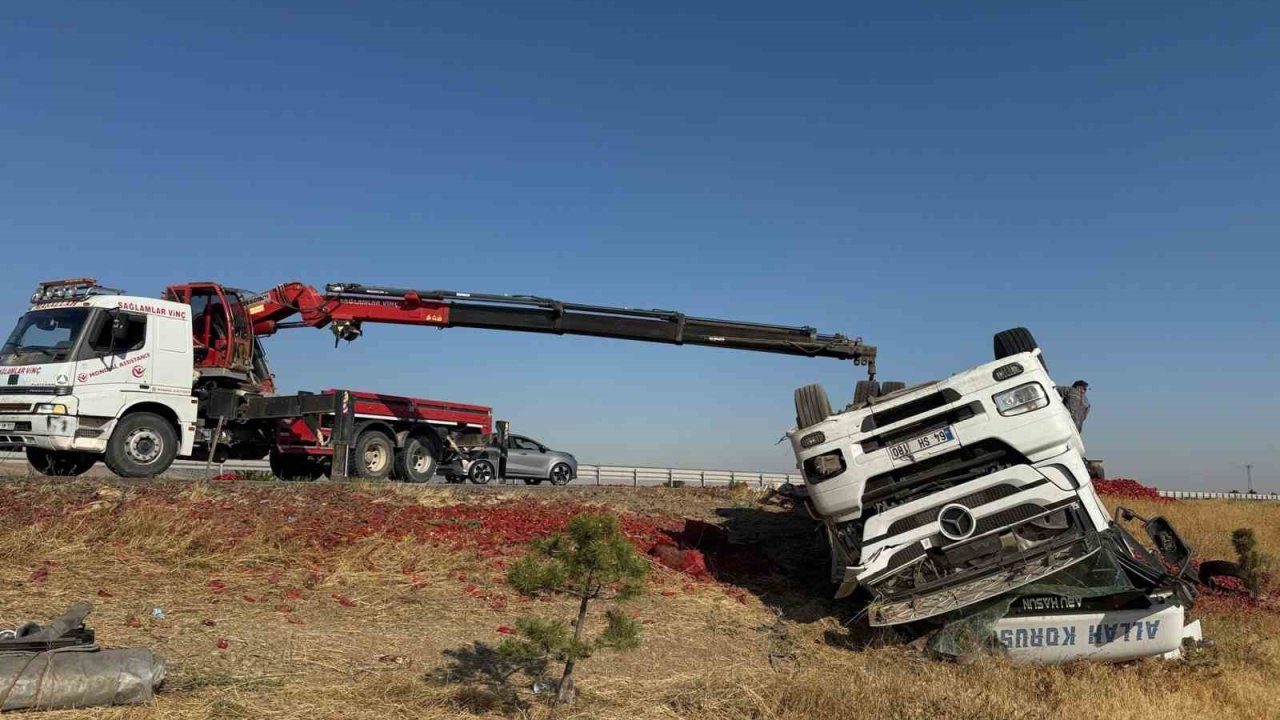 20 ton salçalık biber kazada çevreye dağılarak ziyan oldu