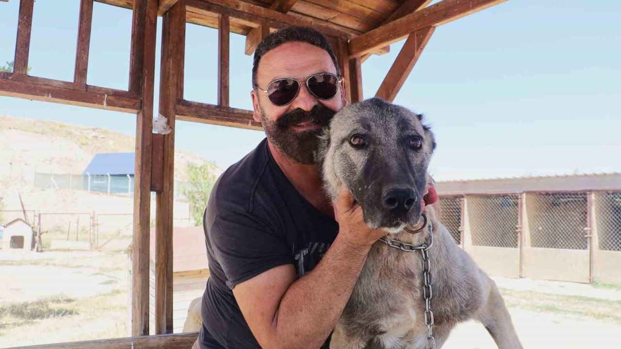 Sürüyü korumak için ağaca tırmandı, 2 metrelik yılanı etkisiz hale getirdi