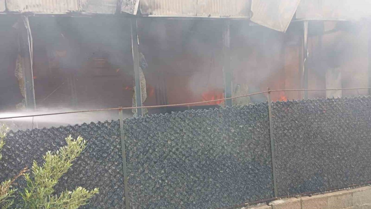 Alevlerin yükseldiği kafe kullanılmaz hale geldi