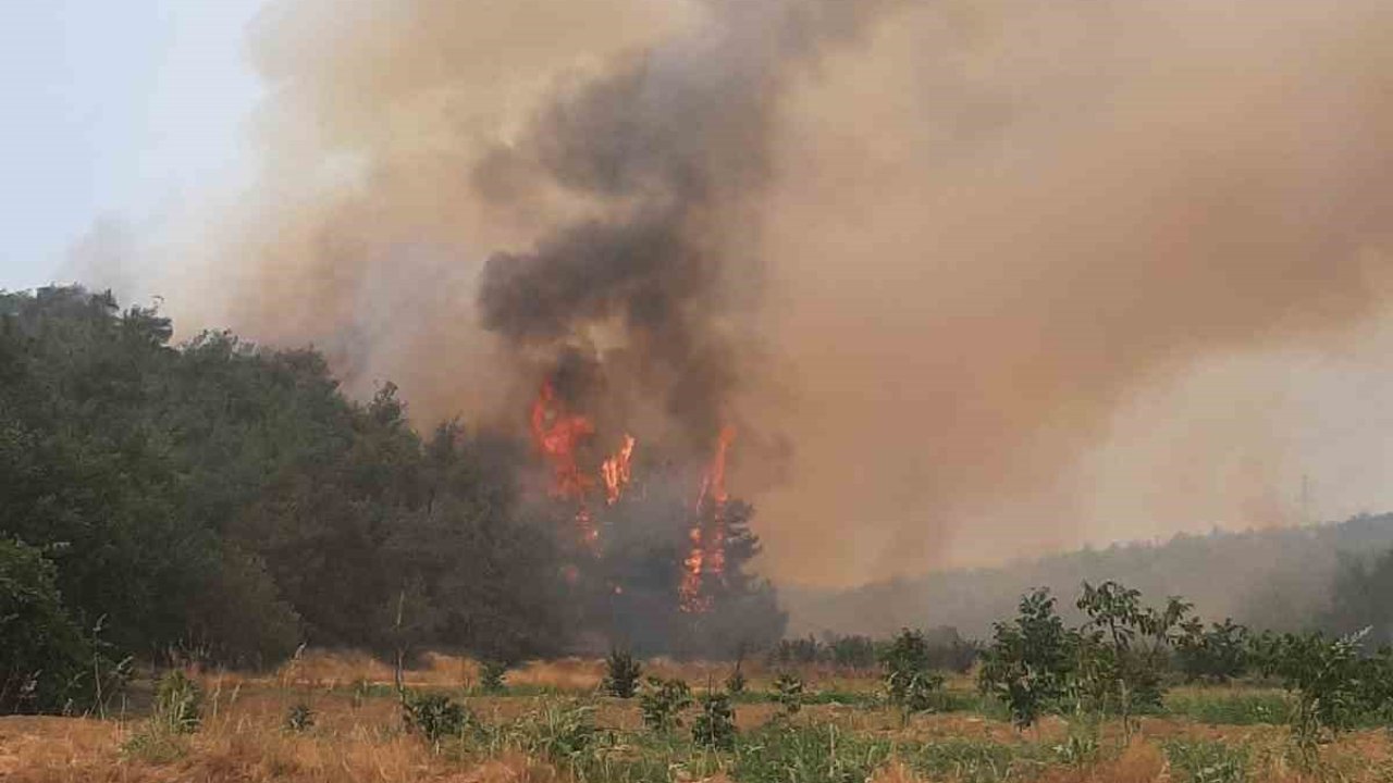 Bilecik’te alevler yeniden yükselmeye başladı