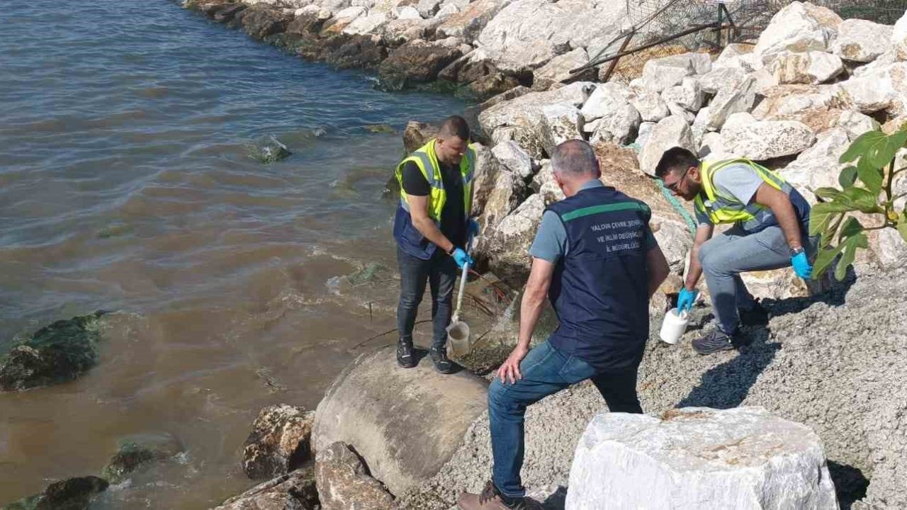 Kanalizasyonu denize deşarj eden Yalova Belediyesi’ne 1.3 milyon lira ceza