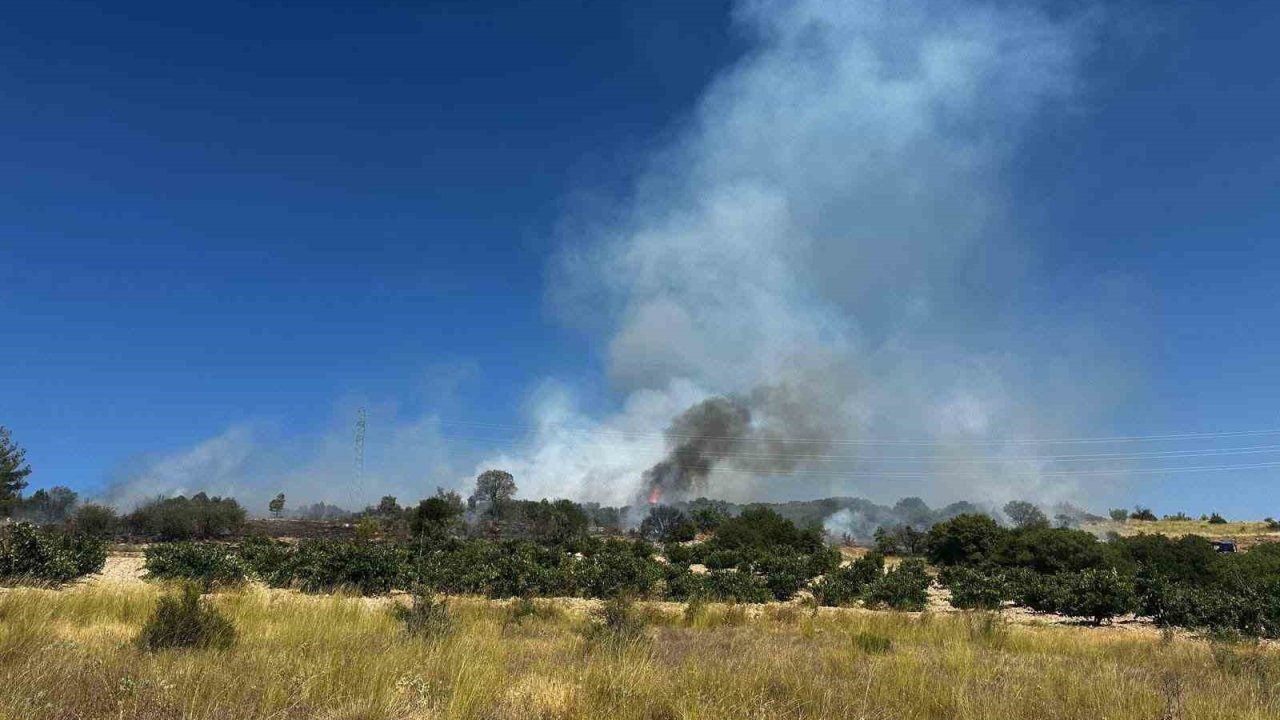 Köylüler alevlere set oldu