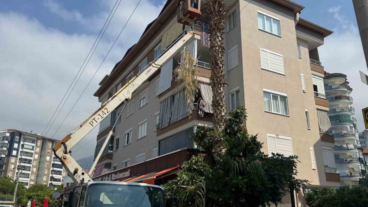 Alanya Belediyesi ve AEDAŞ’dan yangın riskine karşı önlem