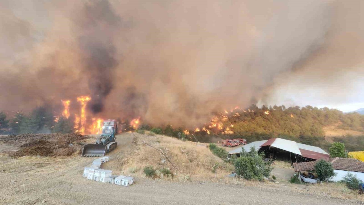Bilecik’teki orman yangınında alevler Kazancı köyüne ulaştı