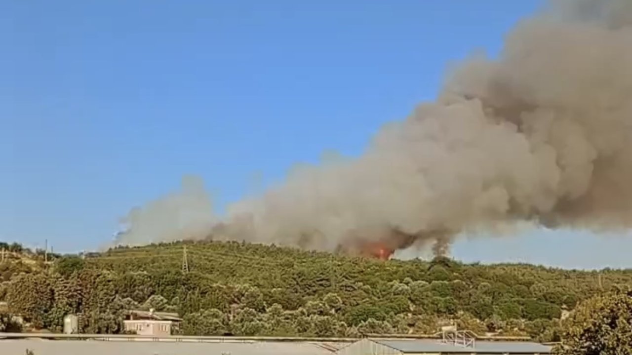 İzmir’de ormanlık alanda yangın