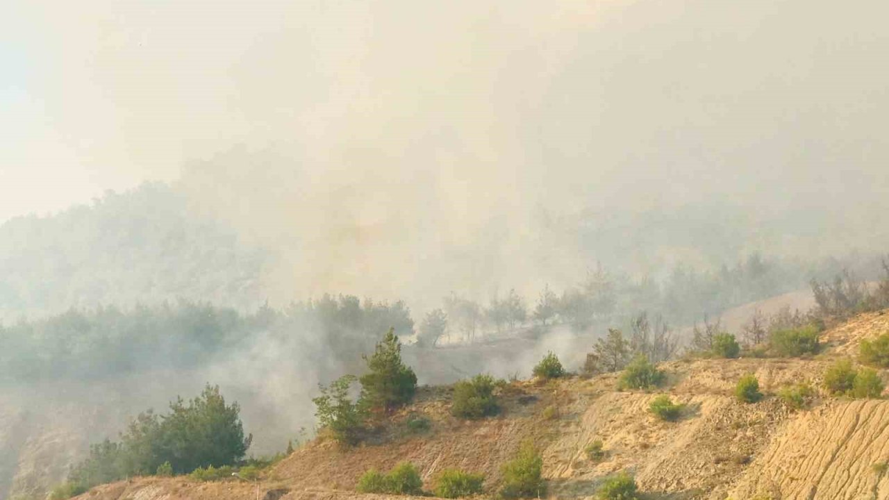 Tarihi İpek Yolu yanıyor