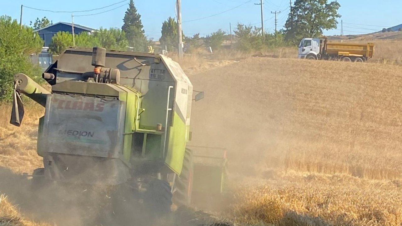Belediyenin tarlasından ihtiyaç sahiplerinin sofrasına