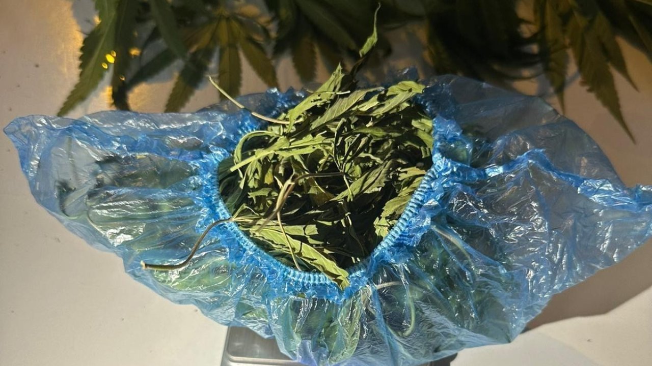 Sarıgöl’de jandarmadan uyuşturucu operasyonu: 1 gözaltı