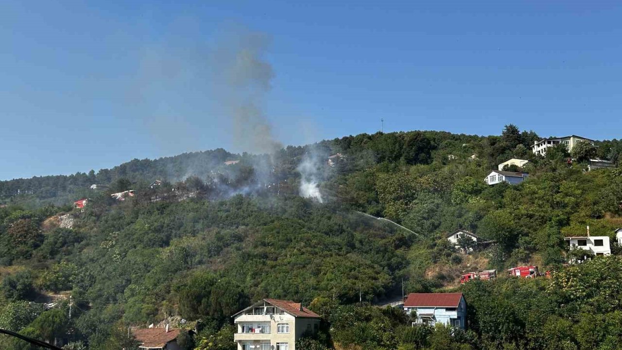 Beykoz’da ormanlık alanda çıkan yangın söndürüldü
