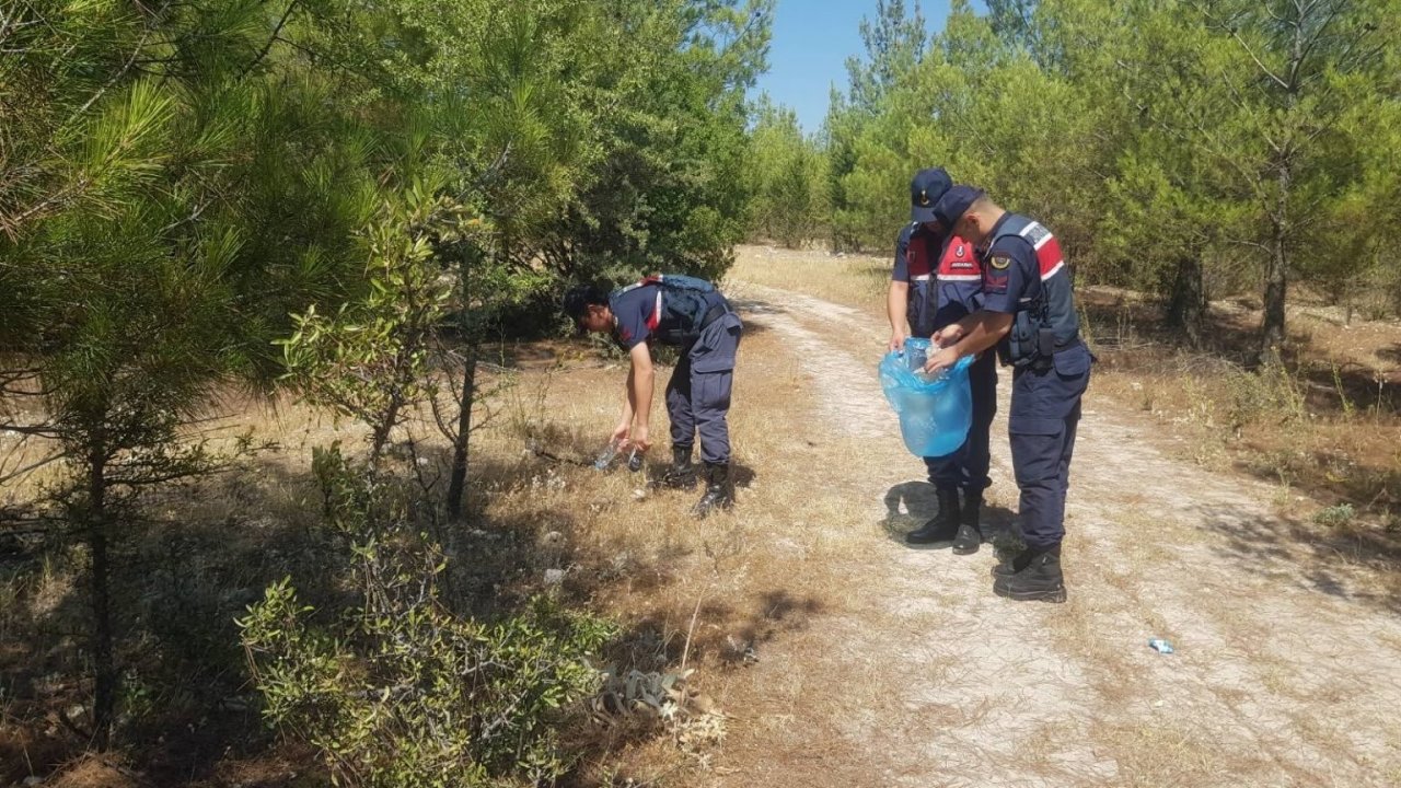 Ormanlık alanlara sıkı denetim
