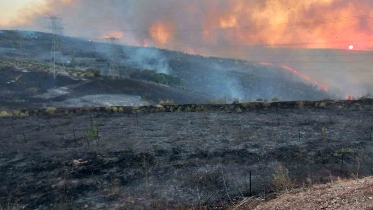 Bandırma OSB yakınlarındaki arazi yangını söndürüldü
