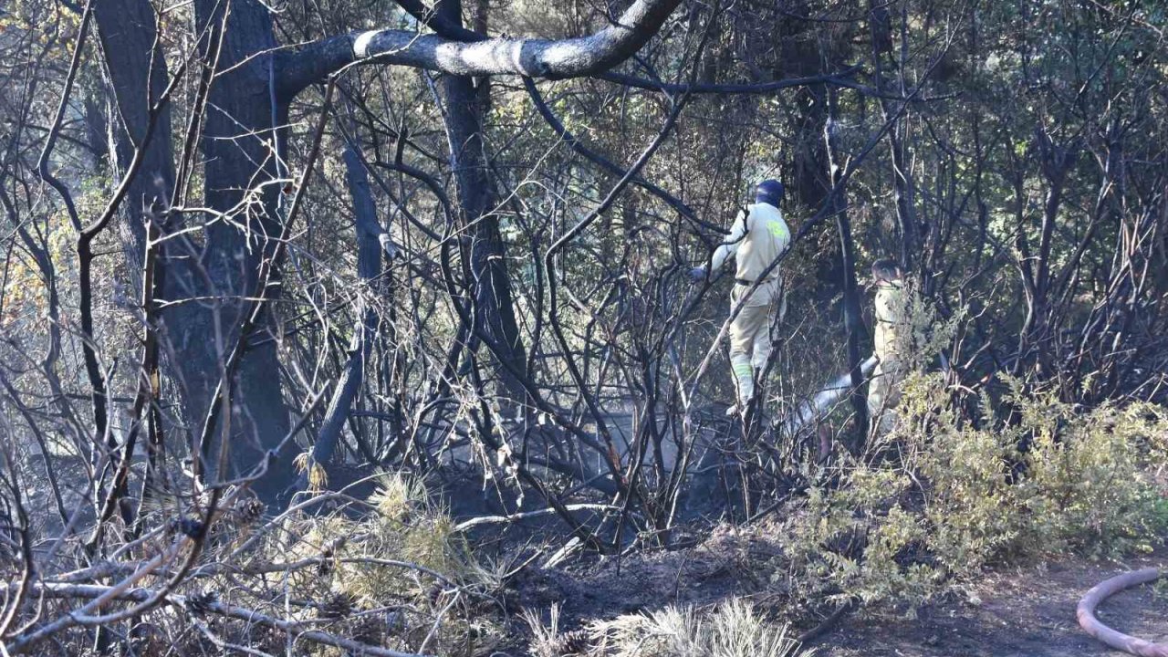 Kemalpaşa’da tırdan ormanlık arana sıçrayan yangın kontrol altında