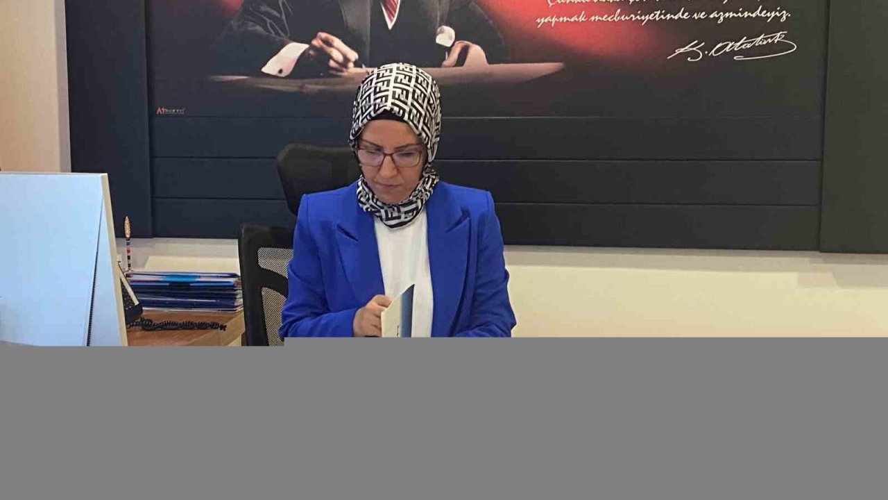 DABİS, İŞKUR tarafından yürütülmeye başladı