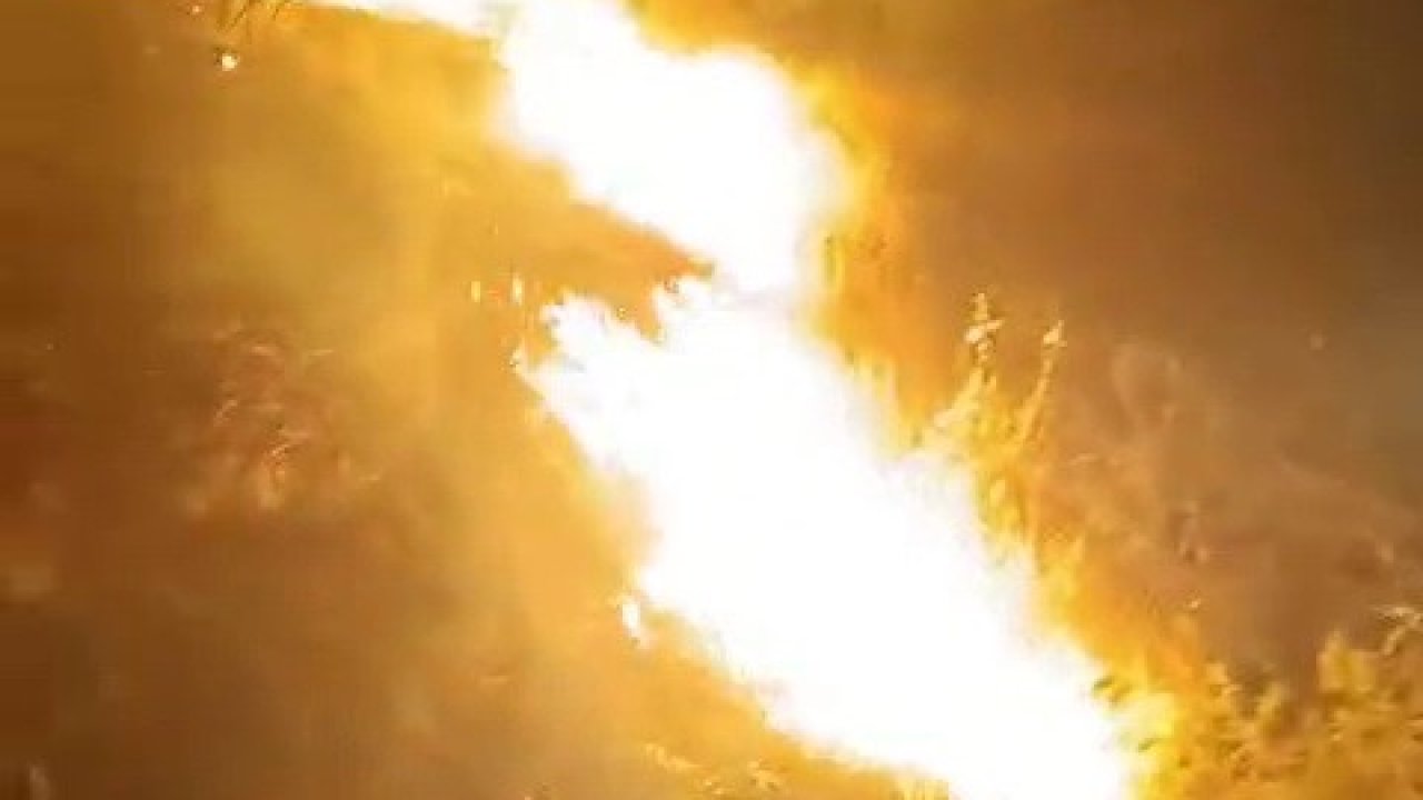 Ormanlık alanda korkutan yangın