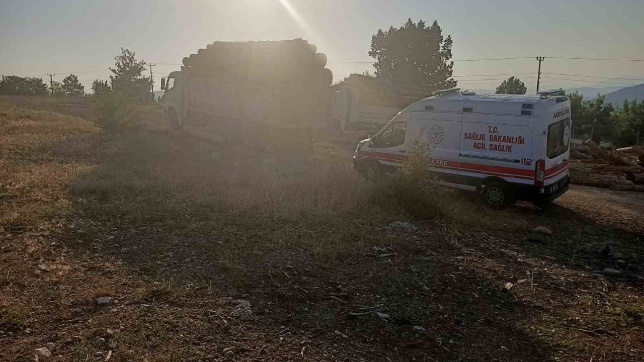 Kamyondan kayan tomrukların altında kalan 1 kişi hayatını kaybetti