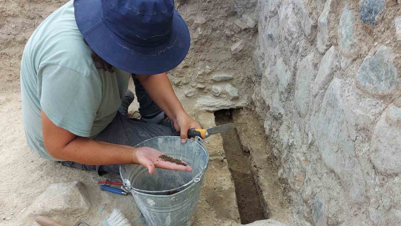 Üzüm tarımının tarihi yolculuğu gün yüzüne çıkarılacak