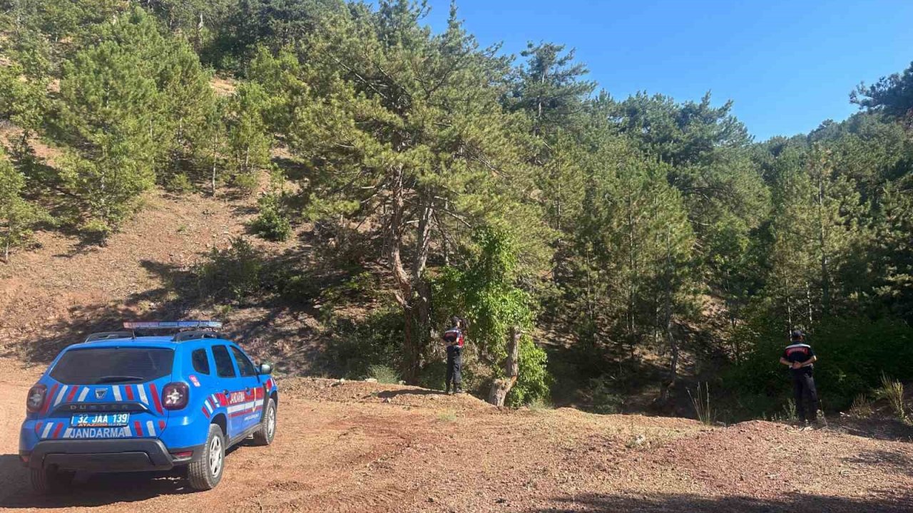 Eğirdir’de ormanlık alanlarda sıkı denetim