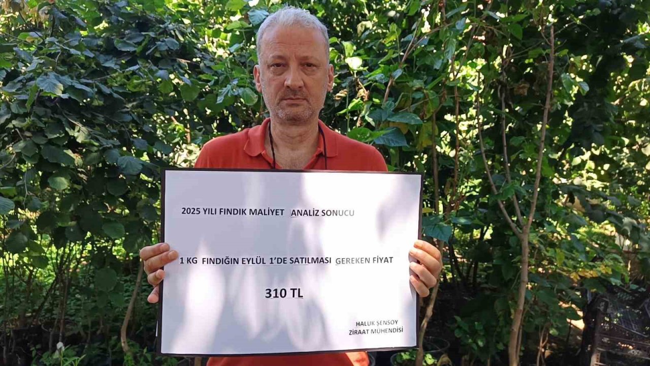 Ziraat mühendisinden fındığın maliyeti hesabı: 222 TL