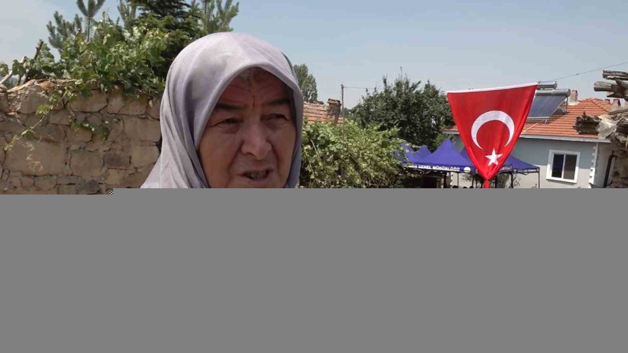 Şehit orman işçisinin halası konuştu