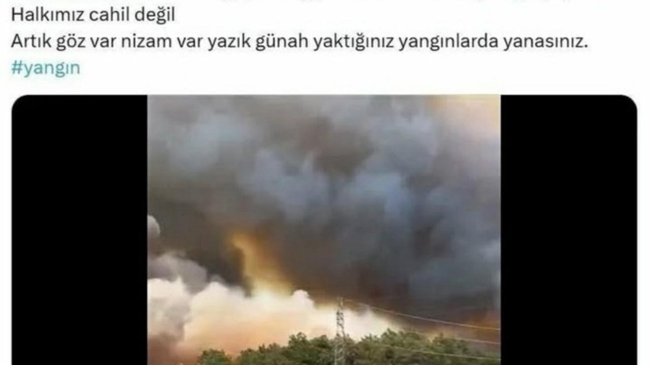 Meclis üyesinin "Hükümet bilinçli yakıyor" paylaşımına gözaltı